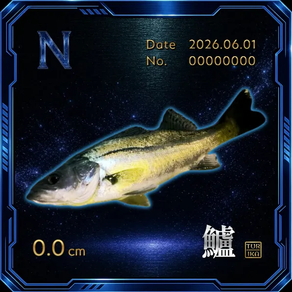 デジタル魚拓 オオモンハタ