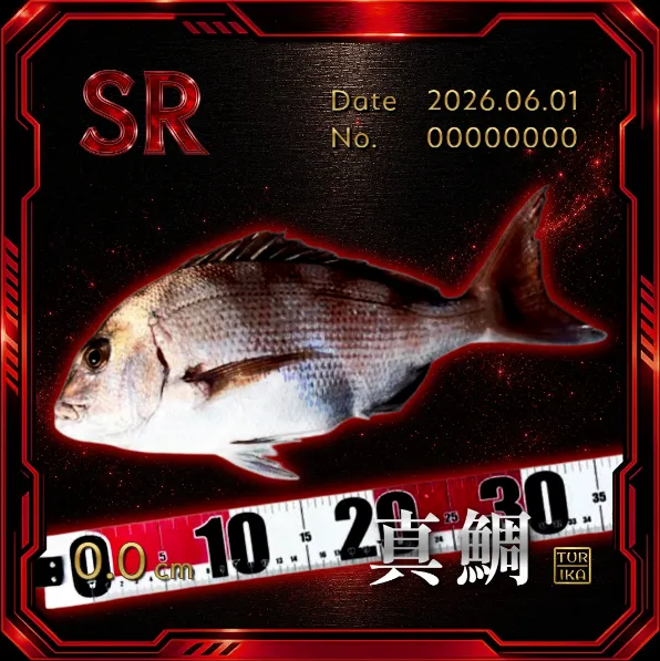 デジタル魚拓 イシダイ