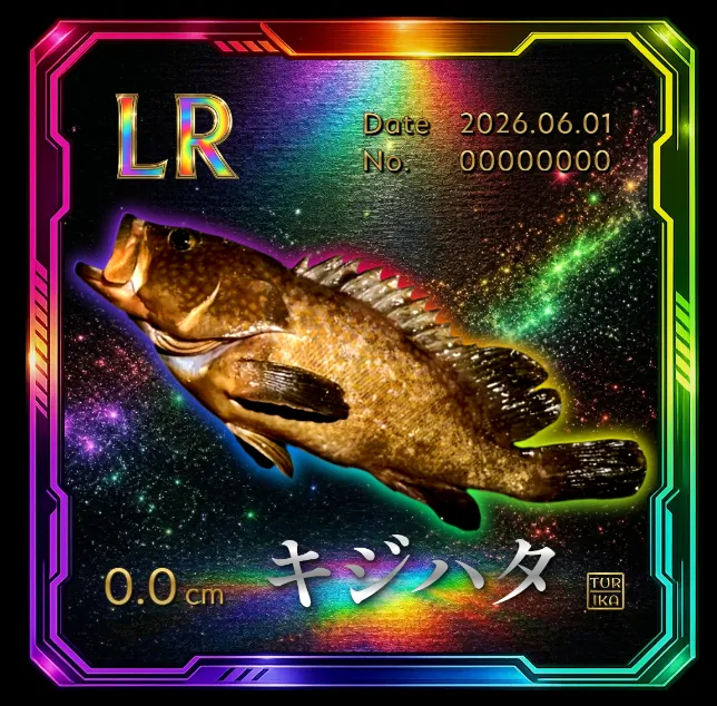 デジタル魚拓 キジハタ