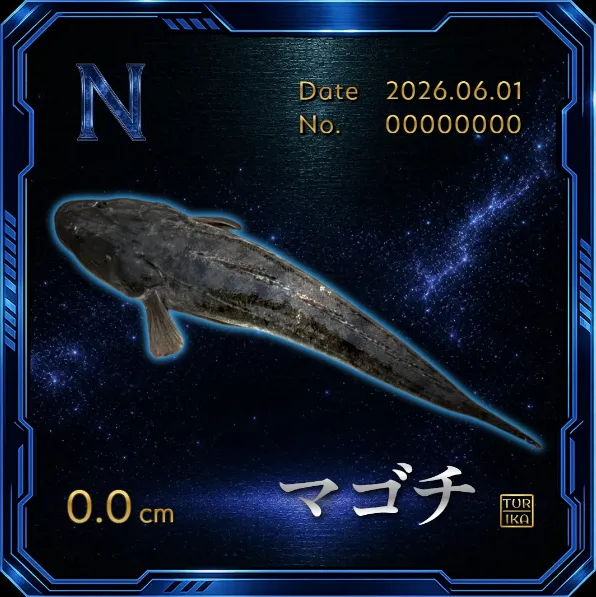デジタル魚拓 マゴチ