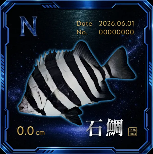 デジタル魚拓 シーバス スズキ
